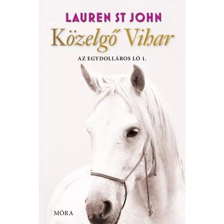 Közelgő vihar – Az egydolláros ló 1.