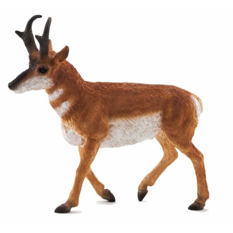 Animal Planet Pronghorn antilop figura