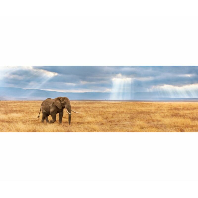 Elefánt a szavannán 1000 db-os panoráma puzzle - Clementoni