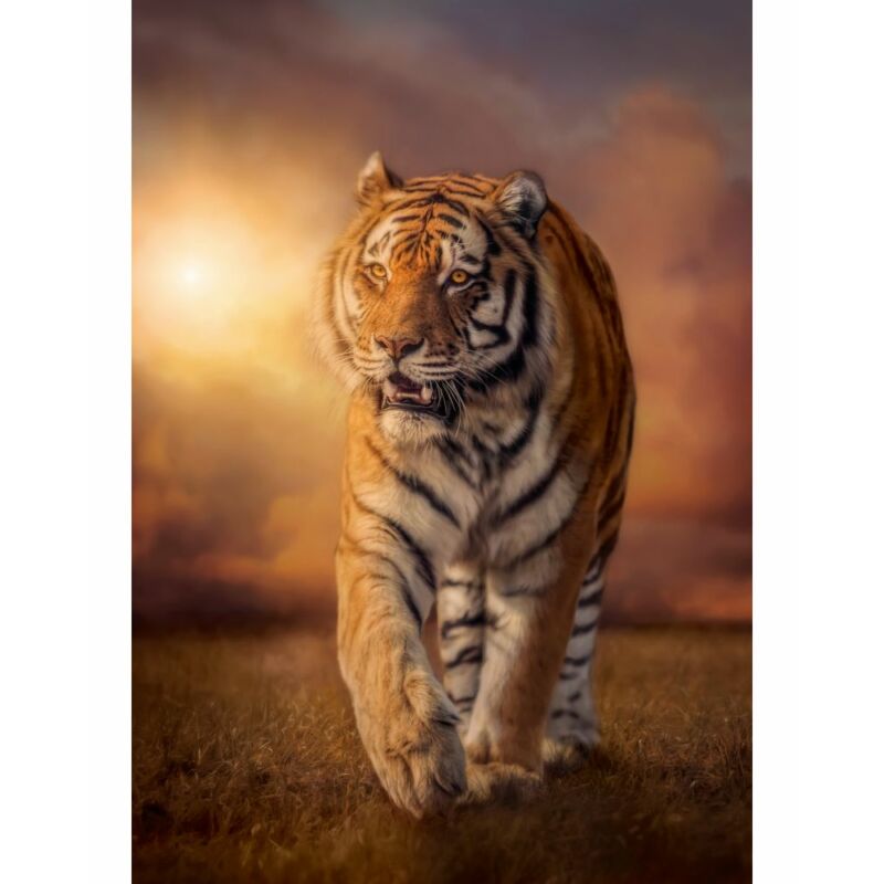 Tigris 1500 db-os puzzle - Clementoni