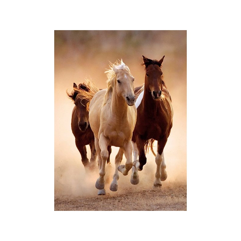 Vágtázó lovak 1000 db-os puzzle - Clementoni 39168