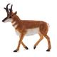 Kép 2/2 - Mojo Pronghorn antilop figura