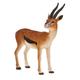 Kép 1/2 - Animal Planet Thomson Gazella Bak figura