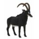 Kép 2/2 - Mojo Fekete antilop figura