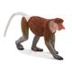 Kép 1/2 - Animal Planet Nagyorrú Majom figura