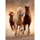 Kép 3/3 - Vágtázó lovak 1000 db-os puzzle - Clementoni