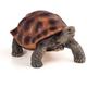 Kép 1/2 - Animal Planet Óriás teknős figura