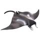 Kép 1/2 - Animal Planet Manta rája figura