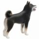 Kép 3/3 - Mojo Shiba ina kutya fekete figura
