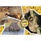 Kép 2/3 - Vadvilág kutató 104 db-os puzzle - Clementoni National Geographic Kids