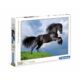 Kép 3/3 - Fríz fekete ló 500 db-os puzzle - Clementoni