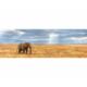 Kép 2/3 - Elefánt a szavannán 1000 db-os panoráma puzzle - Clementoni