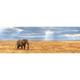 Kép 2/3 - Elefánt a szavannán 1000 db-os panoráma puzzle - Clementoni