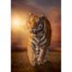 Kép 2/3 - Tigris 1500 db-os puzzle - Clementoni