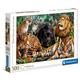 Kép 2/2 - Vadmacskák - 500 db-os puzzle - Clementoni