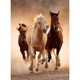 Kép 1/2 - Vágtázó lovak 1000 db-os puzzle - Clementoni 39168