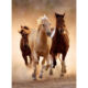 Kép 2/3 - Vágtázó lovak 1000 db-os puzzle - Clementoni