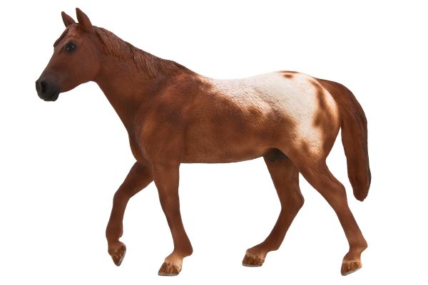 Mojo Appaloosa csődör mogyóróbarna figura