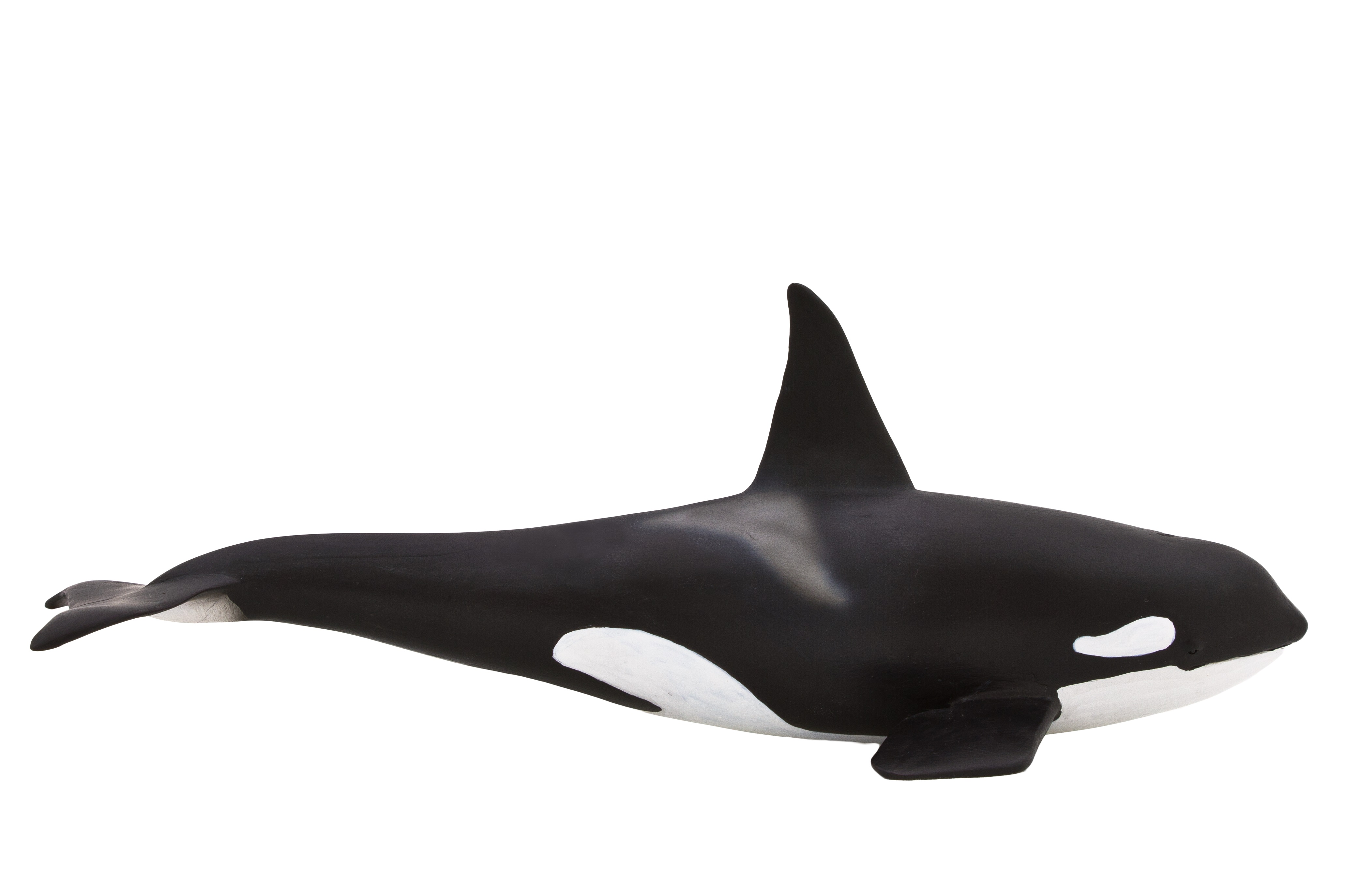 Mojo Kardszárnyú delfin figura