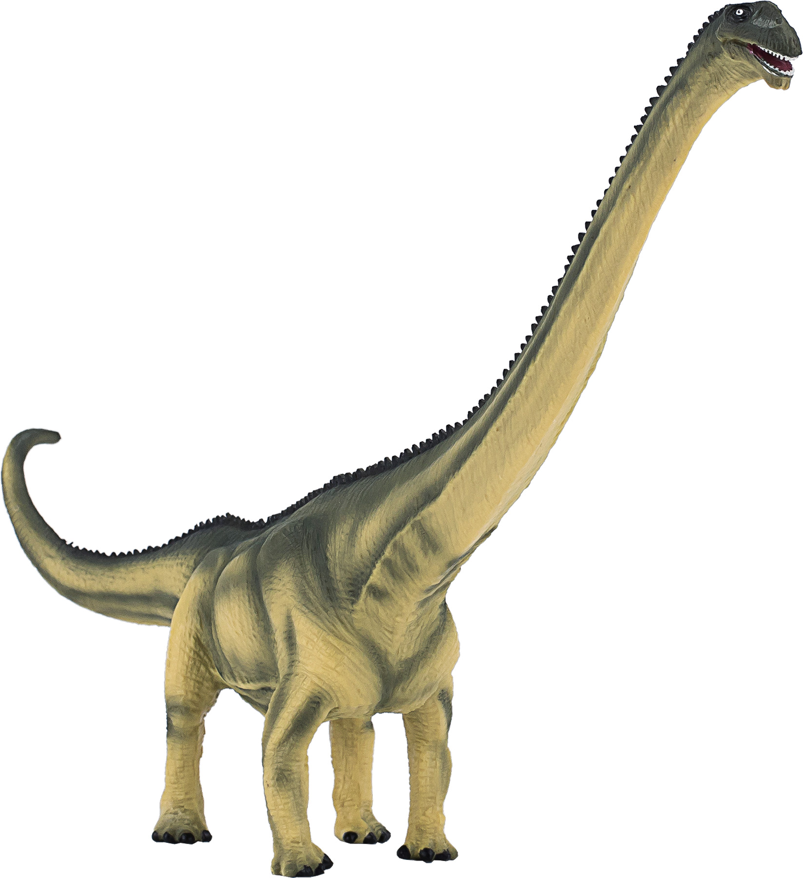 Mojo - Mamenchisaurus Deluxe figura