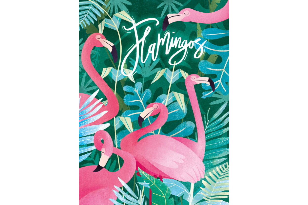 Flamingók - 500 db-os puzzle - Clementoni