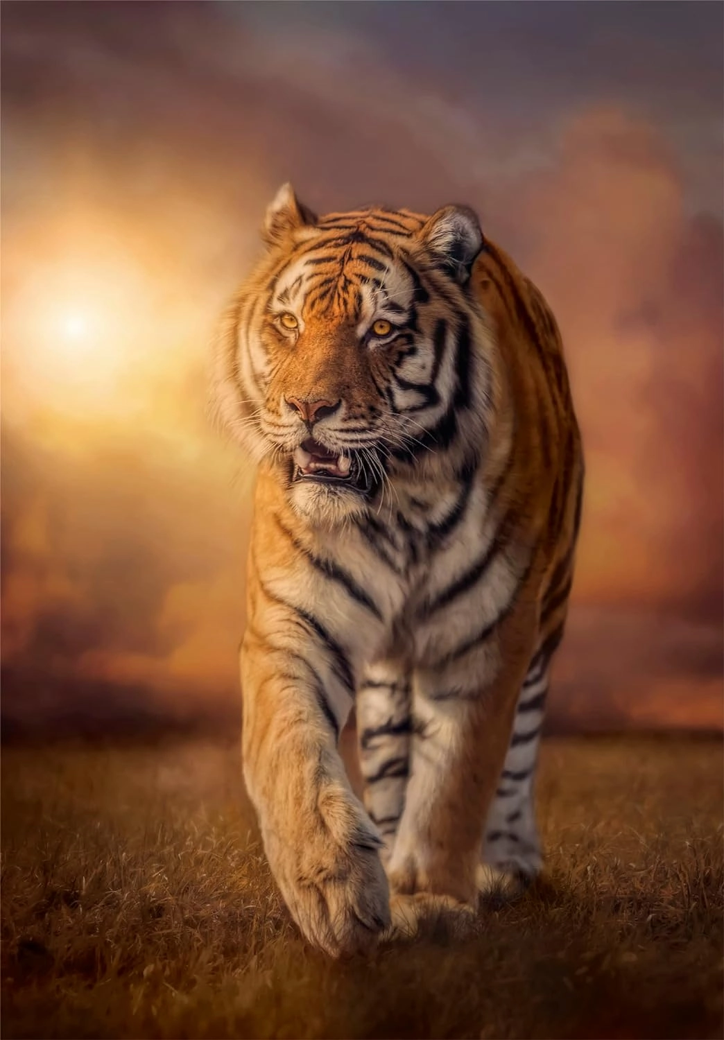 Tigris 1000 db-os puzzle - Clemetoni
